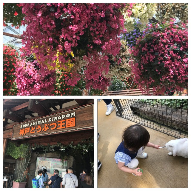 神戸どうぶつ王国