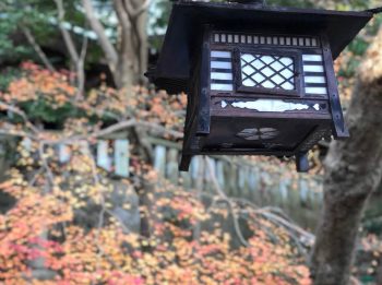 神戸 板宿八幡神社 初詣